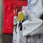 pcPE2016DSC_7881_10